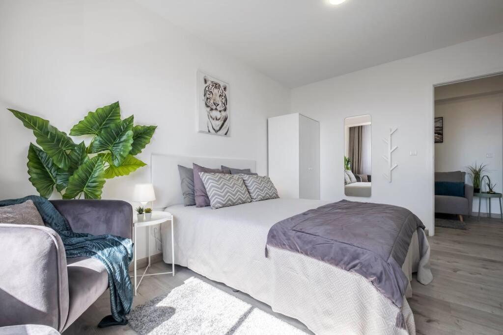 Super Platinum Apartment Funchal  Ngoại thất bức ảnh